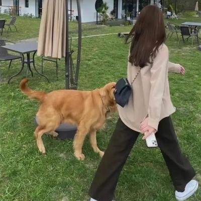 红点杀机
